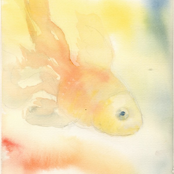 IMG788
